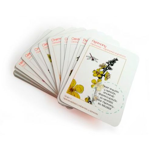 Cartas Bach para niños / Sofía Roca - Imagen 3