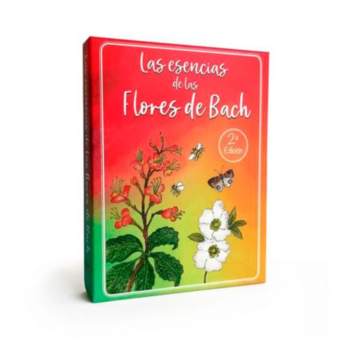 Cartas Bach para niños / Sofía Roca
