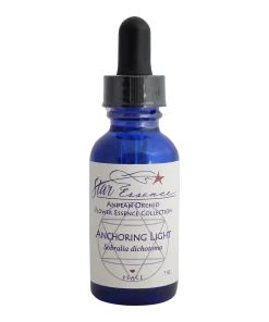 Anchoring Light Star Essence