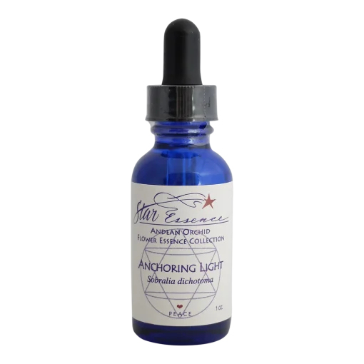 Anchoring Light Star Essence