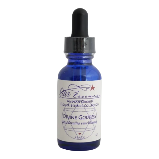 Divine Goddess Star Essence