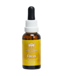 Focus Essence / Aprendizaje - Flores de Bush