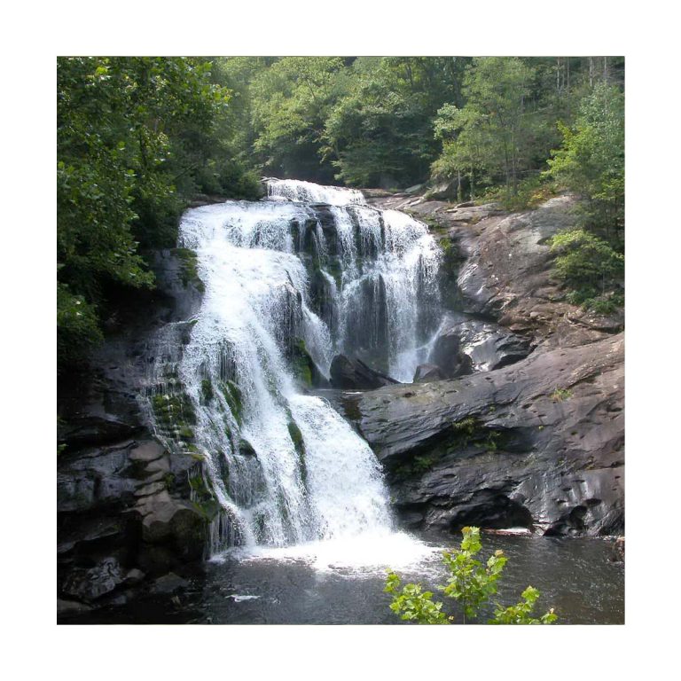 Rock Water - Flores de Bach - Imagen 2