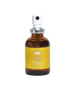 Focus Essence Oral Spray 30ml Bush Essence