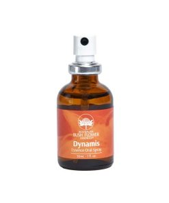 Dynamis Essence Oral Spray 30ml Bush Essence