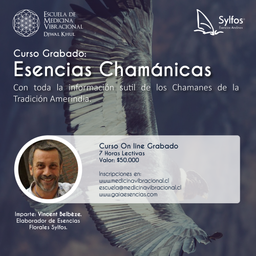 Curso grabado Esencias Chamánicas 2024