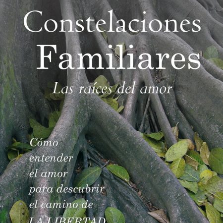 Constelaciones familiares; Laura Jazmin Guli