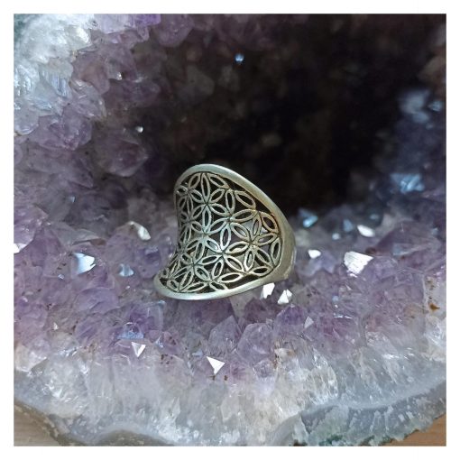Joya, Anillo Flor de la Vida curvo