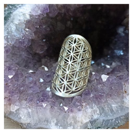 Joya, Anillo Flor de la Vida abierto