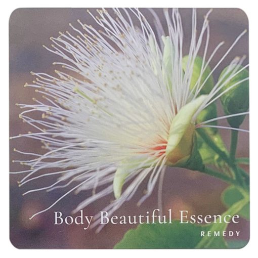 Affirmation Cards Remedy Essences - Flores de Bush - Imagen 2