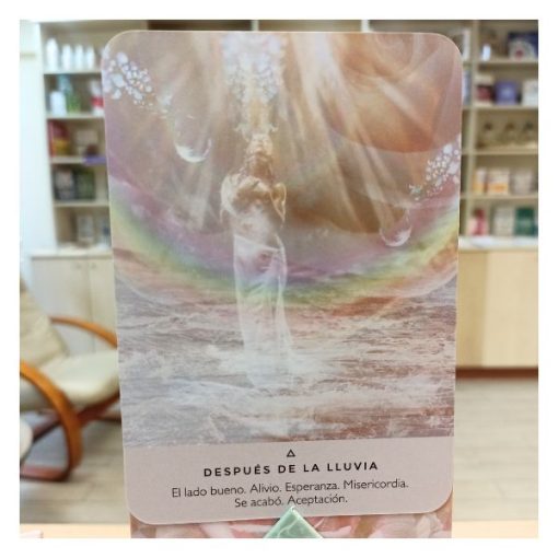 Libro y Cartas Oraculo de la Rosa, R. Campbell, Oceano - Imagen 2