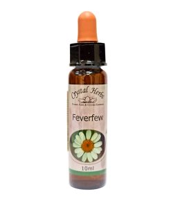 Feverfew