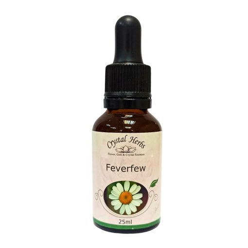 Feverfew - Imagen 2