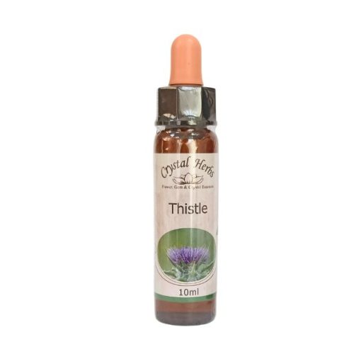 Thistle - Crystal Herbs