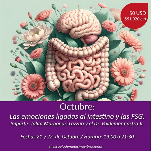 LAS EMOCIONES LIGADAS AL INTESTINO Y LAS FSG - ONLINE