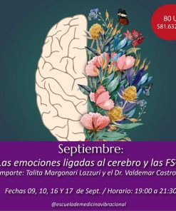 LAS EMOCIONES LIGADAS AL CEREBRO Y LAS FSG - ONLINE