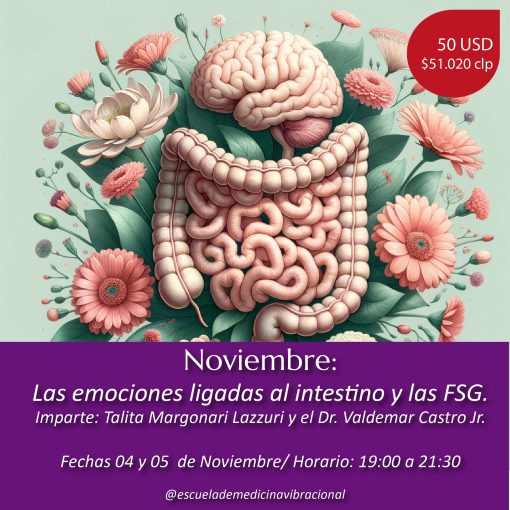LAS EMOCIONES LIGADAS AL INTESTINO Y LAS FSG - ONLINE