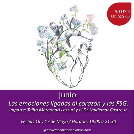 LAS EMOCIONES LIGADAS AL CORAZÓN Y LAS FSG - ONLINE