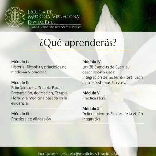 DIPLOMADO EN TERAPIA FLORAL 2025 - Imagen 2