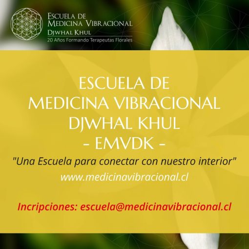 DIPLOMADO EN TERAPIA FLORAL 2025 - Imagen 3