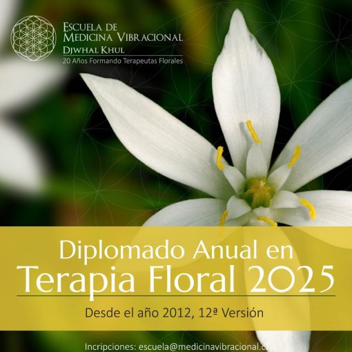 DIPLOMADO EN TERAPIA FLORAL 2025