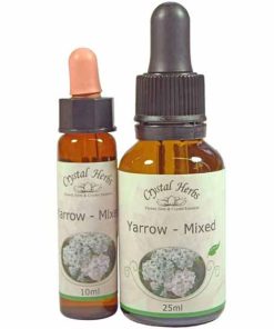 Yarrow Mixed (Milenrama Mixta)