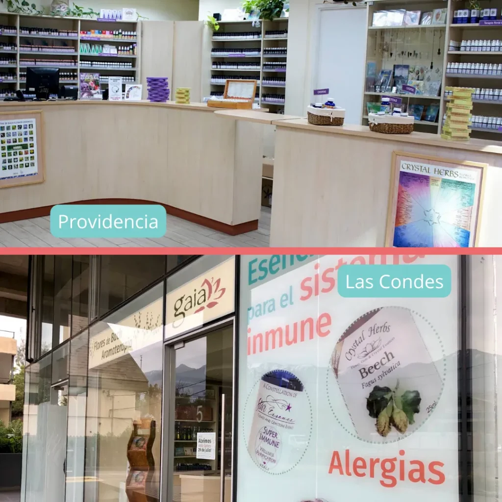 Sucursales de Gaia Esencias