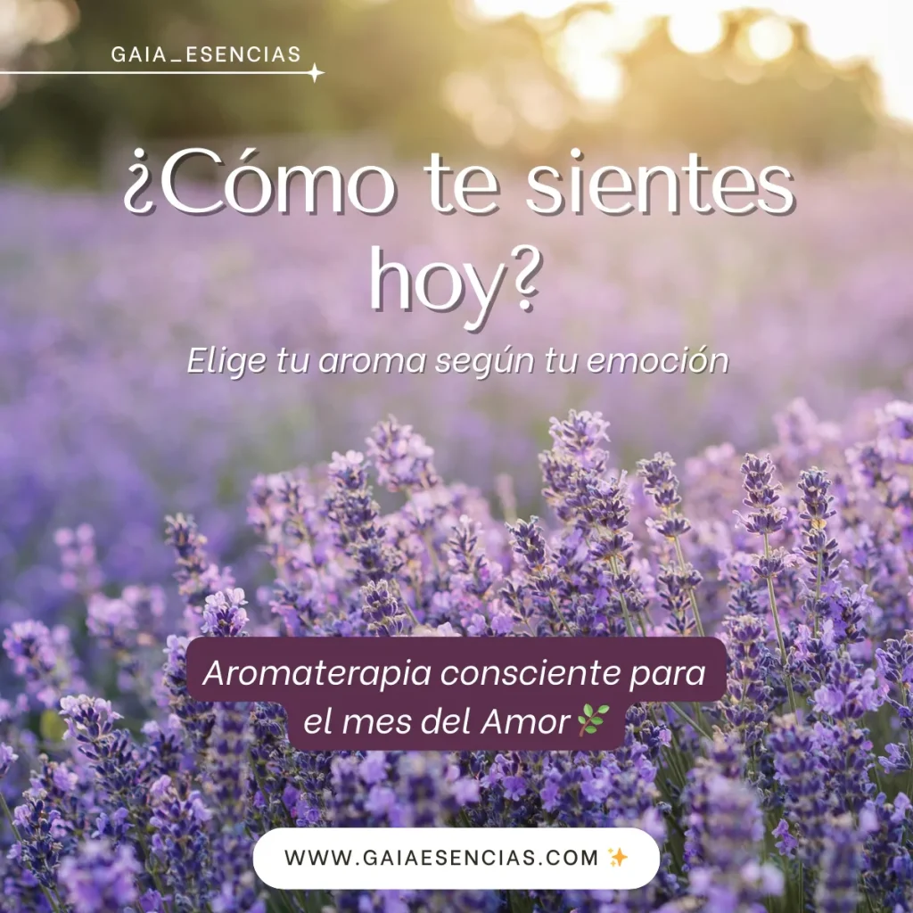aromaterapia consciente