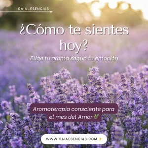aromaterapia consciente