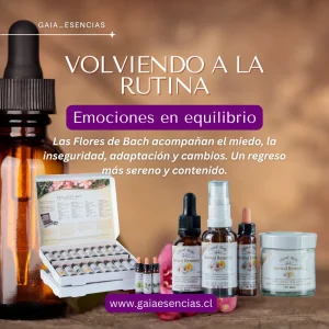 Flores de Bach para la rutina