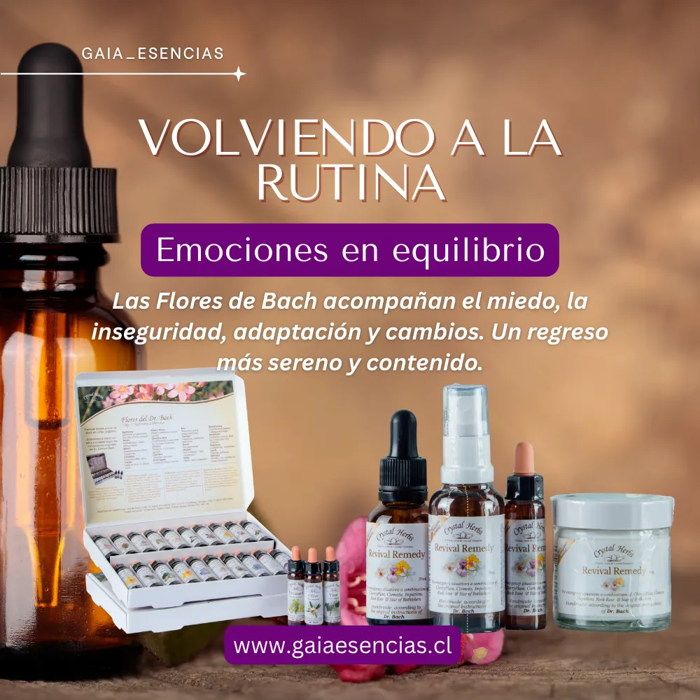 Flores de Bach para la rutina