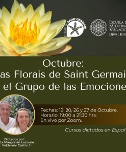 LAS FLORES DE SAINT GERMAIN Y EL GRUPO DE LAS EMOCIONES - ONLINE