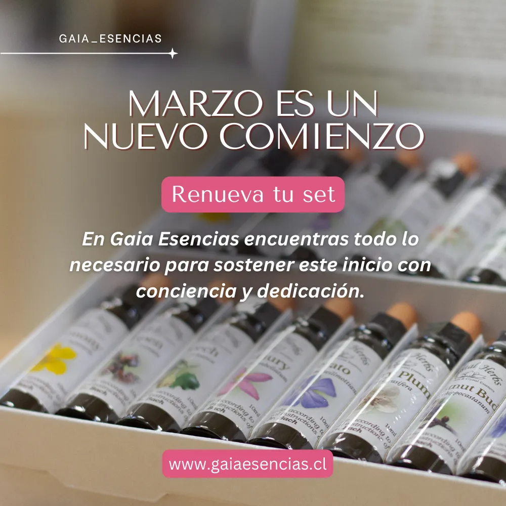 Esencias florales para recuperar energía en marzo