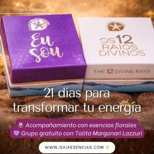 transformar tu energía con esencias florales